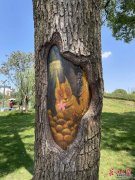太可爱啦！公园员工给22棵大树画了“美妆”